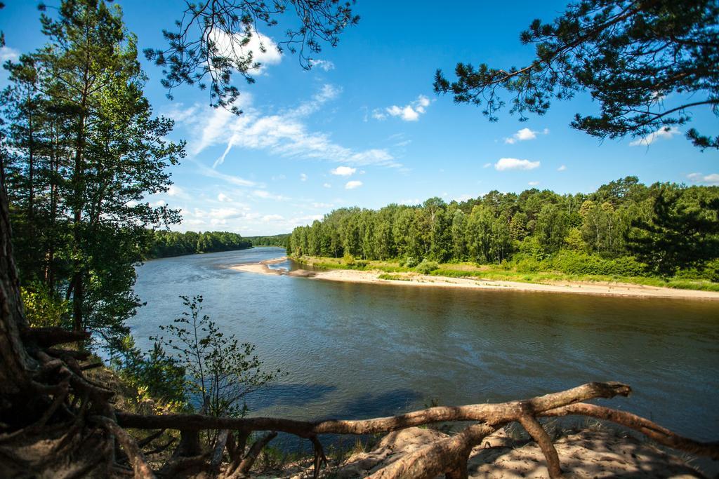 Sveciu Namelis Villa Druskininkai Luaran gambar